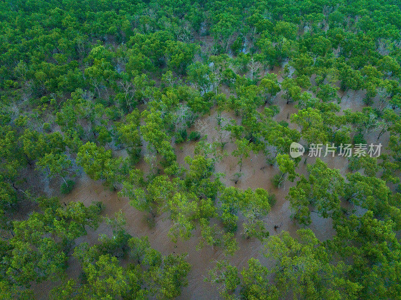 湄公河三角洲Soc Trang省海岸冲积红树林航拍摘要图像